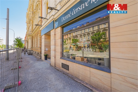 Pronájem obchodních prostor, 145 m² - 18