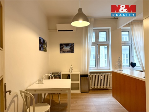 Pronájem bytu 3+1, 114 m² - 12
