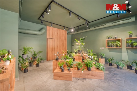 Pronájem restaurace, 145 m² 8
