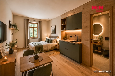 Prodej ubytování, 594 m² 8