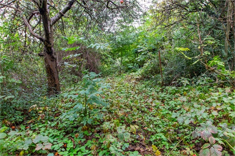 Prodej zahrady, 644 m² - 0