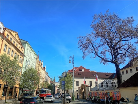 Pronájem bytu 2kk, 65 m² 12