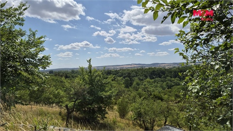 Prodej zahrady, 1 358 m² 4