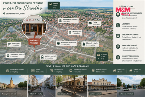 Pronájem obchodních prostor, 95 m² 8