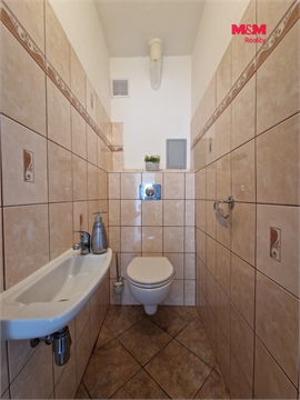 Pronájem bytu 3+1, 66 m² 8