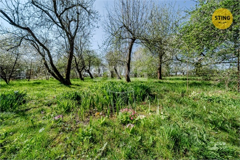 Prodej stavebního pozemku, 2 165 m² - 6