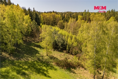 Prodej lesu, 2 645 m² 10