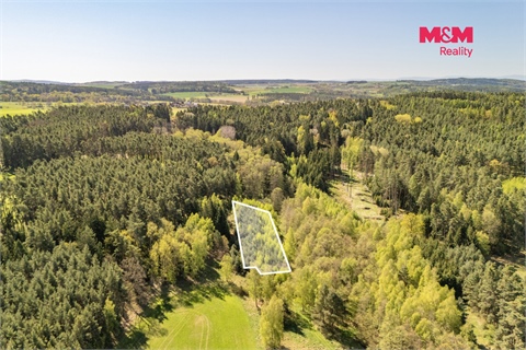 Prodej lesu, 2 645 m² - 2