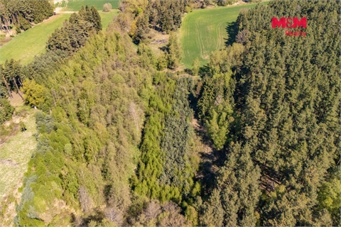 Prodej lesu, 2 645 m² 8