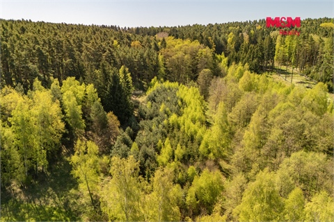 Prodej lesu, 2 645 m² - 10