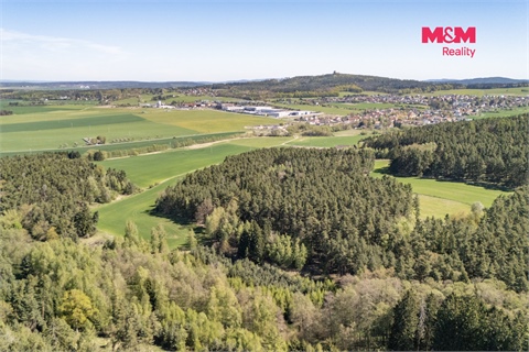 Prodej lesu, 2 645 m² 4