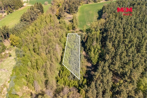 Prodej lesu, 2 645 m² - 8