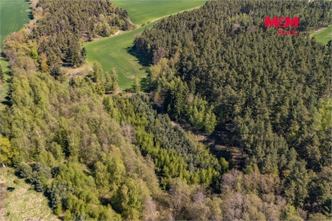 Prodej lesu, 2 645 m² 6
