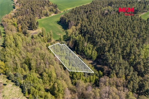 Prodej lesu, 2 645 m² - 6