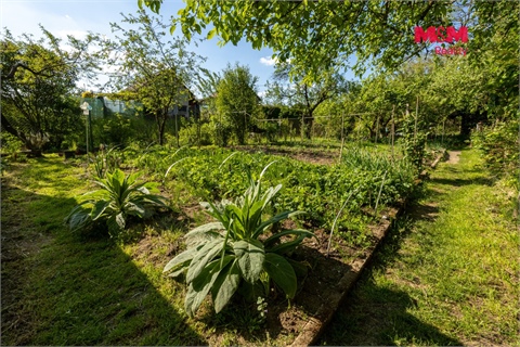 Prodej zahrady, 381 m² - 6