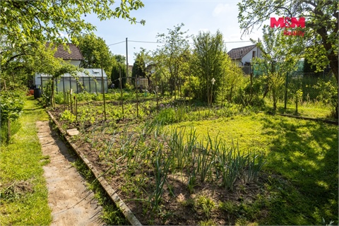 Prodej zahrady, 381 m² 6
