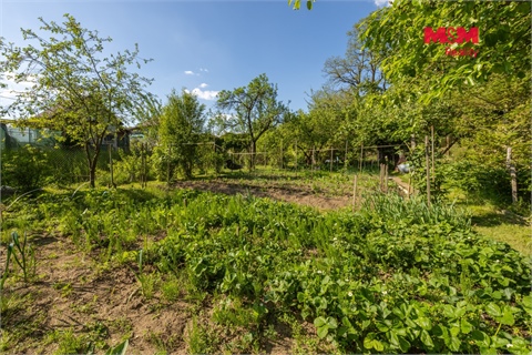 Prodej zahrady, 381 m² 8