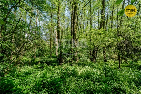 Prodej pozemku, 2 329 m² 8