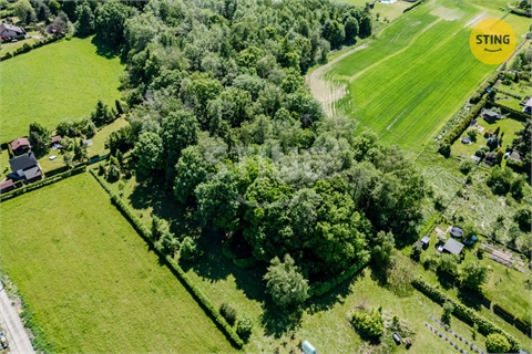 Prodej lesu, 1 028 m² - 2