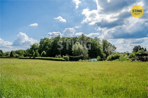 Prodej lesu, 1 028 m² 6