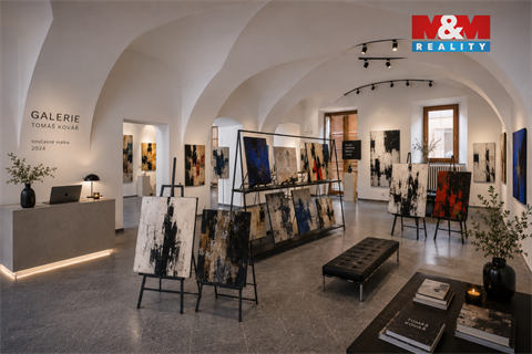 Pronájem obchodních prostor, 142 m² - 8