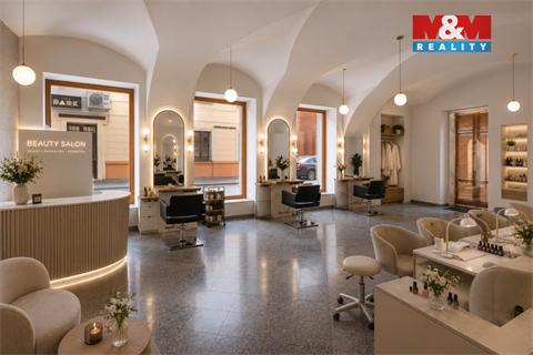 Pronájem obchodních prostor, 142 m² 4