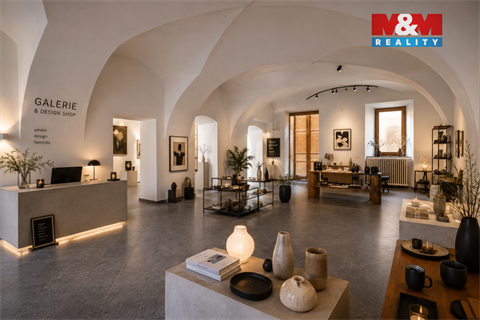 Pronájem obchodních prostor, 142 m² 8
