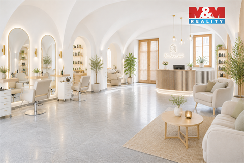 Pronájem obchodních prostor, 142 m² - 6