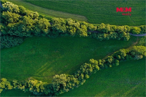Prodej louky, 4 590 m² 20