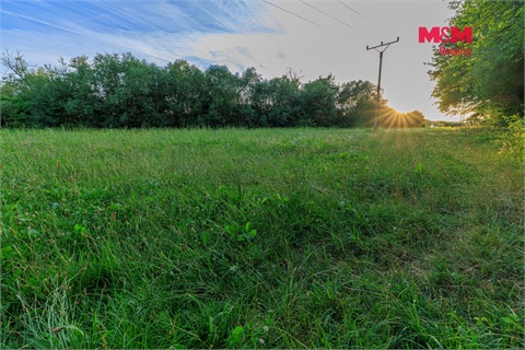 Prodej louky, 4 590 m² - 8