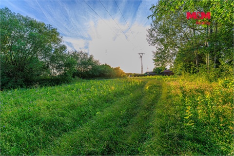Prodej louky, 4 590 m² - 6