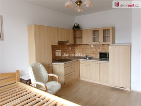 Pronájem bytu 1kk, 40 m² 8