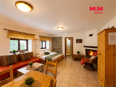Prodej ubytování, 272 m² - 20