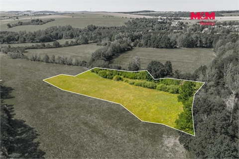 Prodej louky, 6 763 m² - 2