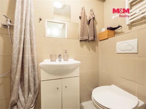 Prodej bytu 1kk, 26 m² - 10