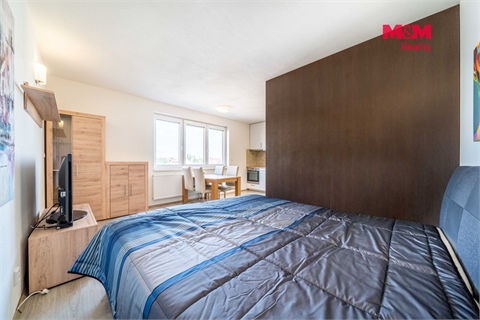 Pronájem bytu 1kk, 36 m² 8