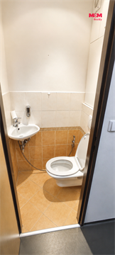 Pronájem bytu 3+1, 68 m² 8