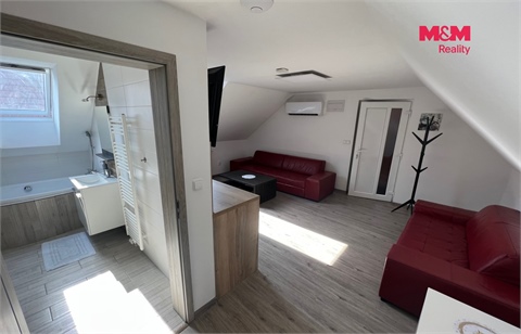 Prodej rodinného domu, 350 m² - 10