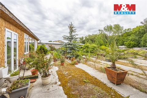 Prodej zemědělského objektu, 3 835 m² 4