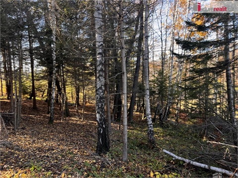 Prodej stavebního pozemku, 3 129 m² 12