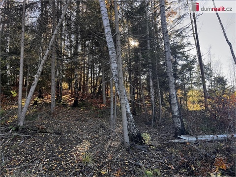 Prodej stavebního pozemku, 3 129 m² 14