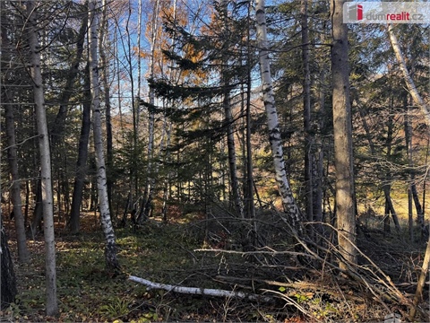 Prodej stavebního pozemku, 3 129 m² - 10