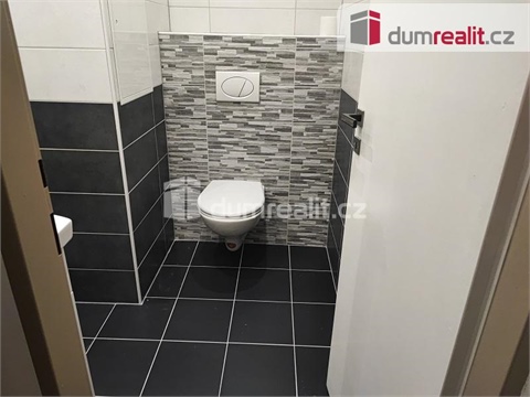 Pronájem bytu 1+1, 39 m² 12