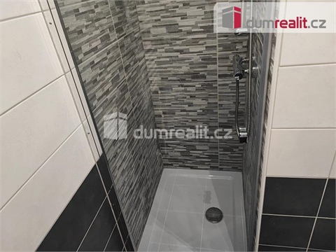Pronájem bytu 1+1, 39 m² 8