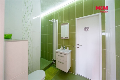 Prodej rodinného domu, 250 m² - 22