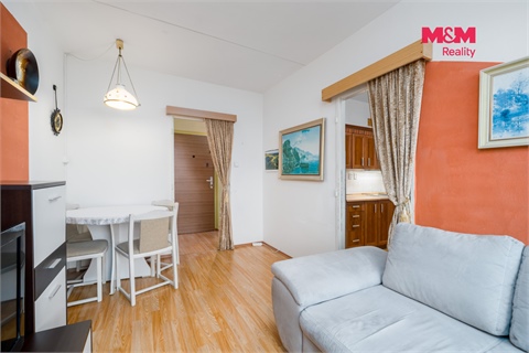 Prodej bytu 1+1, 41 m² - 6