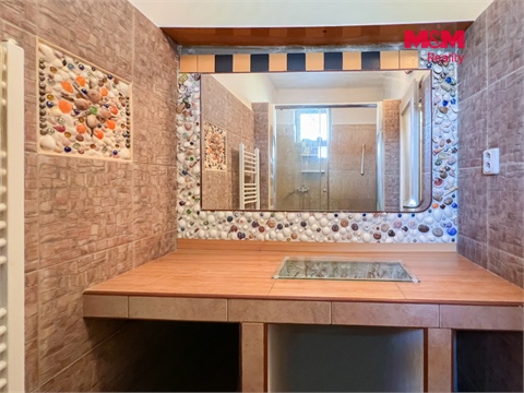 Prodej rodinného domu, 450 m² 18