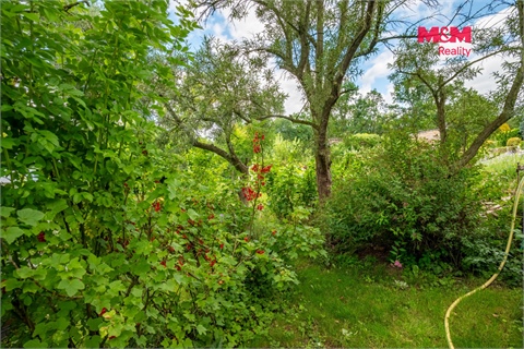 Prodej chaty / chapuly, 16 m² - 22