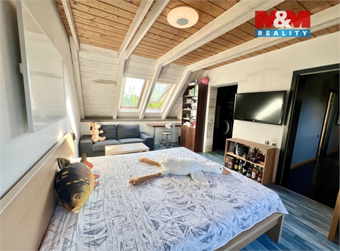 Prodej rodinného domu, 214 m² - 16