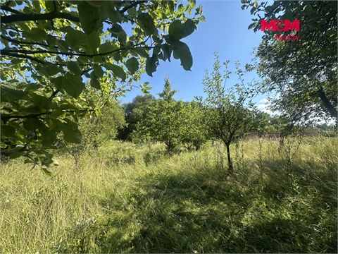 Prodej zahrady, 901 m² 6